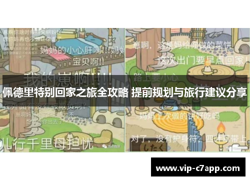佩德里特别回家之旅全攻略 提前规划与旅行建议分享
