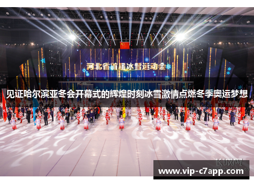 见证哈尔滨亚冬会开幕式的辉煌时刻冰雪激情点燃冬季奥运梦想